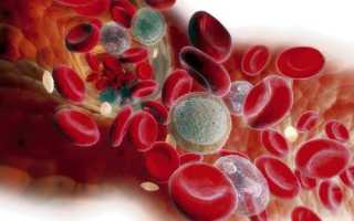 Альфа-амилаза в биохимическом анализе крови: что означает, норма
