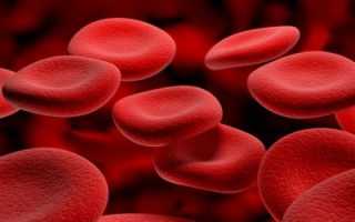 Продукты и народные средства быстро повышающие лейкоциты в крови