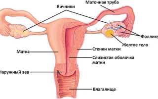 Задержка месячных и цистит: есть ли взаимосвязь?