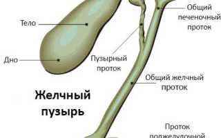 Можно ли пить алкоголь после удаления желчного пузыря?