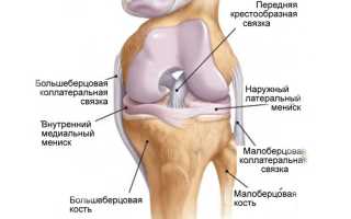 Причины разрыва передней крестообразной связки колена — возможные методы лечения