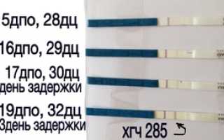 Расшифровка анализа на ХГЧ при беременности