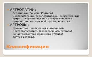 Характеристики болезней коленного сустава — как предотвратить заболевания