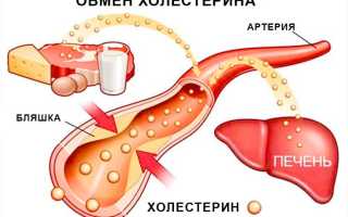 Алкоголь и холестерин: положительное и отрицательное влияние