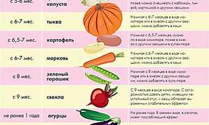 С какого продукта нужно начать первый прикорм