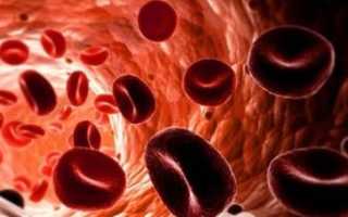 Сколько содержится эритроцитов в 1 мм3 крови