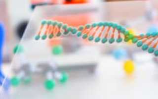 Молекулярно-генетический анализ: что нужно знать