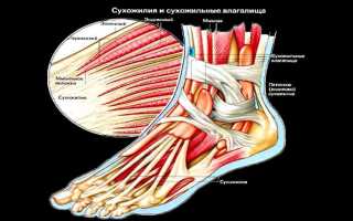 Проявления тендовагинита голеностопного сустава — чем грозит не лечение болезни