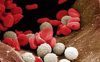 Какое количество лейкоцитов в крови считается нормальным