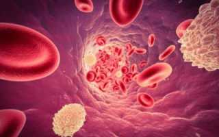 Низкий уровень содержания лейкоцитов в крови, от чего происходит сокращение