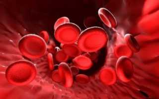 Причины повышения уровня гемоглобина в крови у мужчин