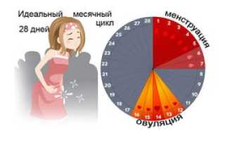 Как быстро вызвать месячные при задержке в домашних условиях