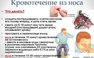 Почему может появиться кровь из носа после алкоголя?