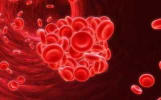 Как обозначается гемоглобин в общем анализе крови