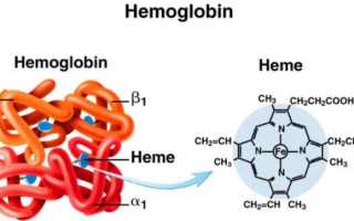 Нормальный уровень гемоглобина в крови у мужчин