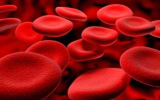 Эритроциты в крови у ребенка повышены: почему, причины