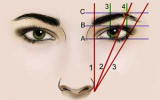 Подбор правильного изгиба бровей под черты лица