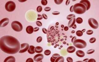 Как быстро поднять гемоглобин в крови народными средствами