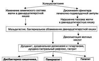 Вреден ли алкоголь при желчнокаменной болезни