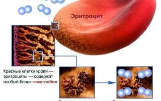 Причины повышения уровня эритроцитов в крови