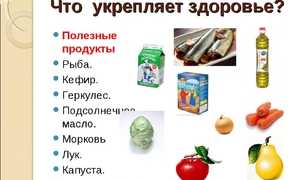 Полезные и вредные для организма продукты