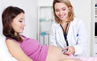 Анализы в первом триместре беременности: что сдавать во 2 и 3